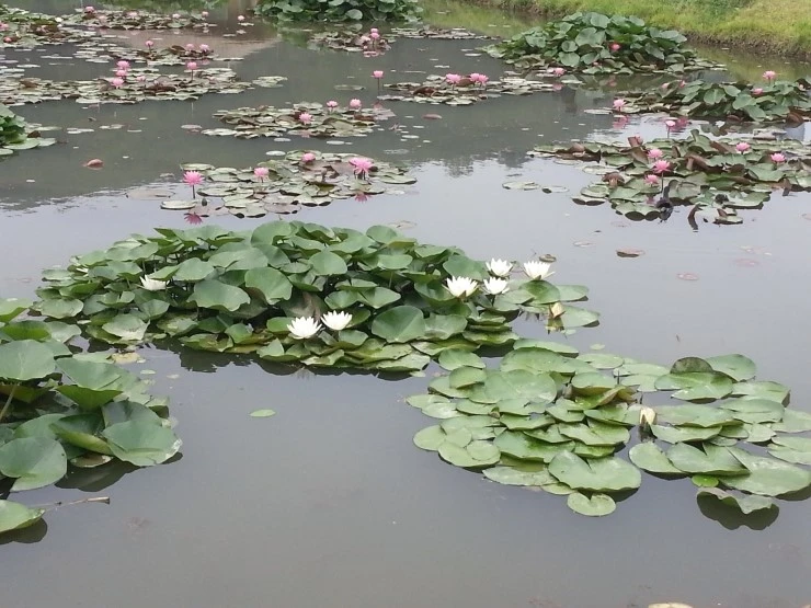 20140712_104209.jpg?type=w2