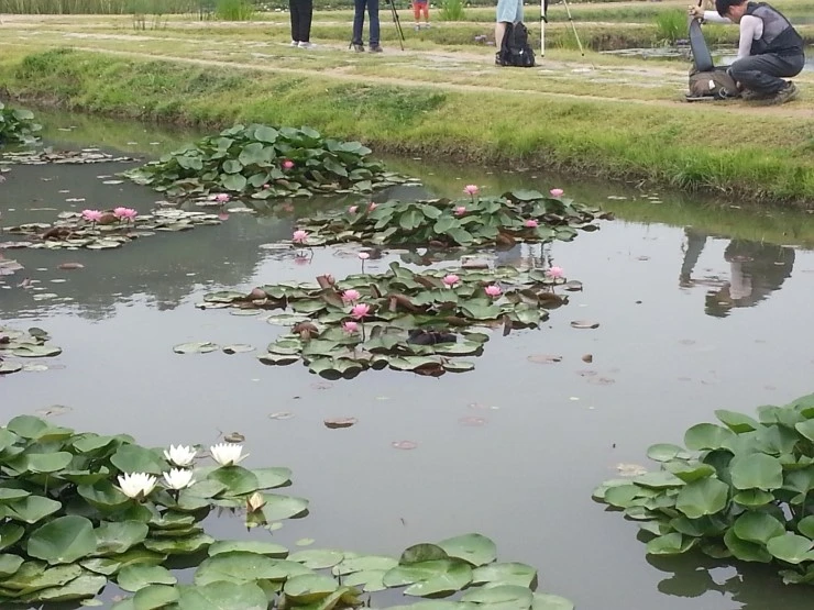 20140712_104142.jpg?type=w2