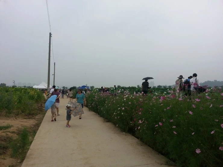 20140712_111425.jpg?type=w2