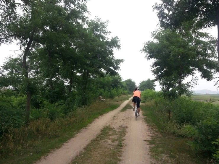 20140712_114045.jpg?type=w2