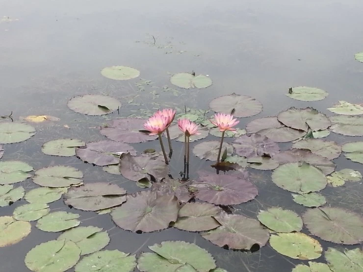 20140712_104727.jpg?type=w2