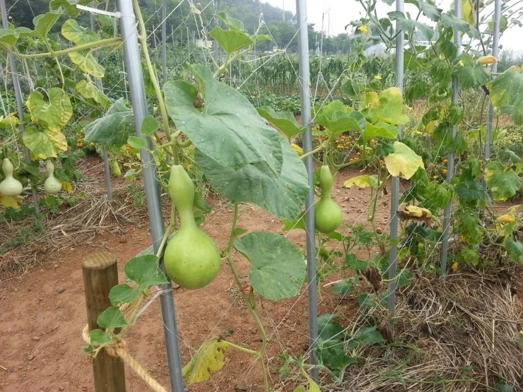 20140712_111250.jpg?type=w2