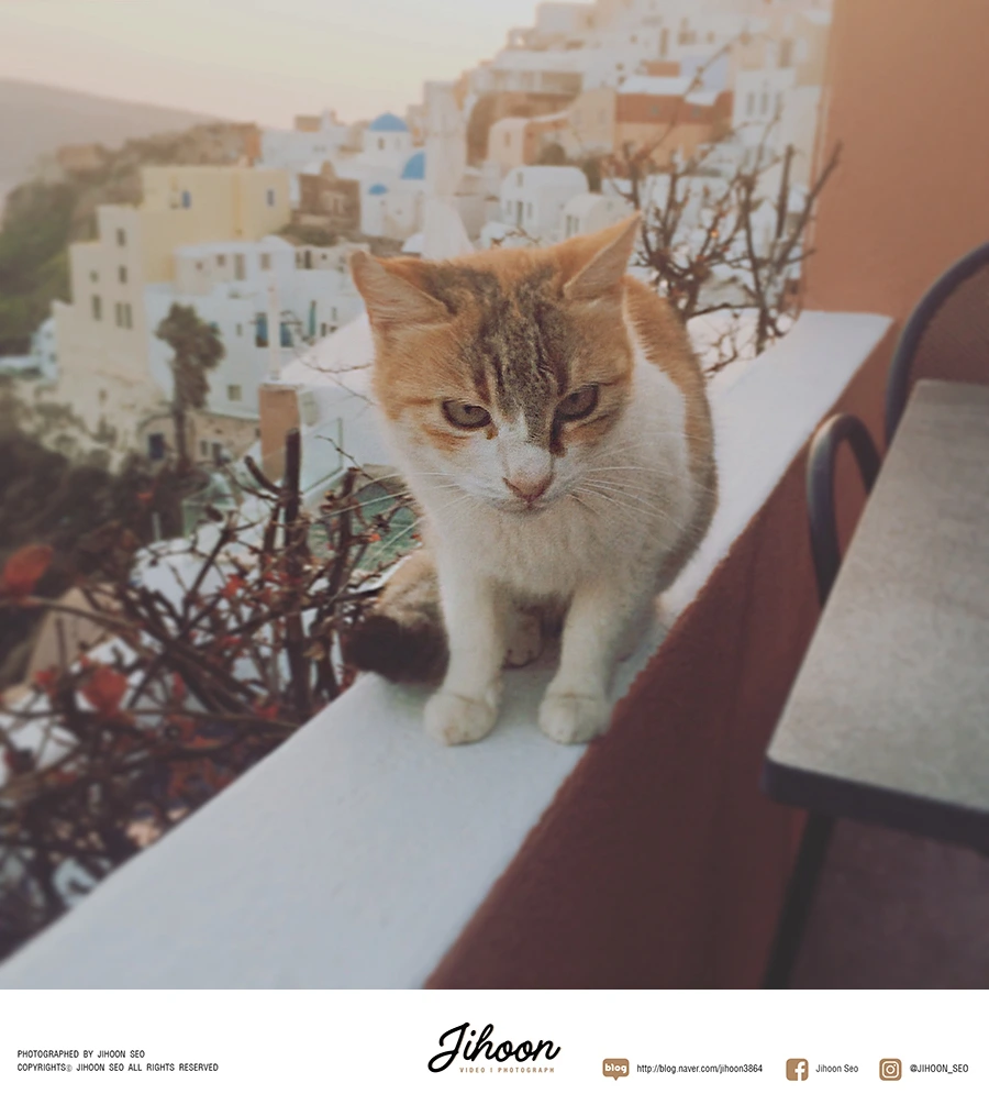 KakaoTalk_20161219_015220382.jpg?type=w966