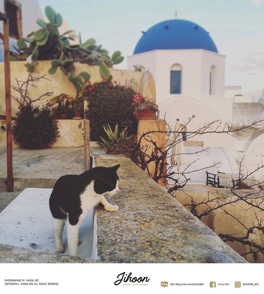 KakaoTalk_20161219_200228398.jpg?type=w966