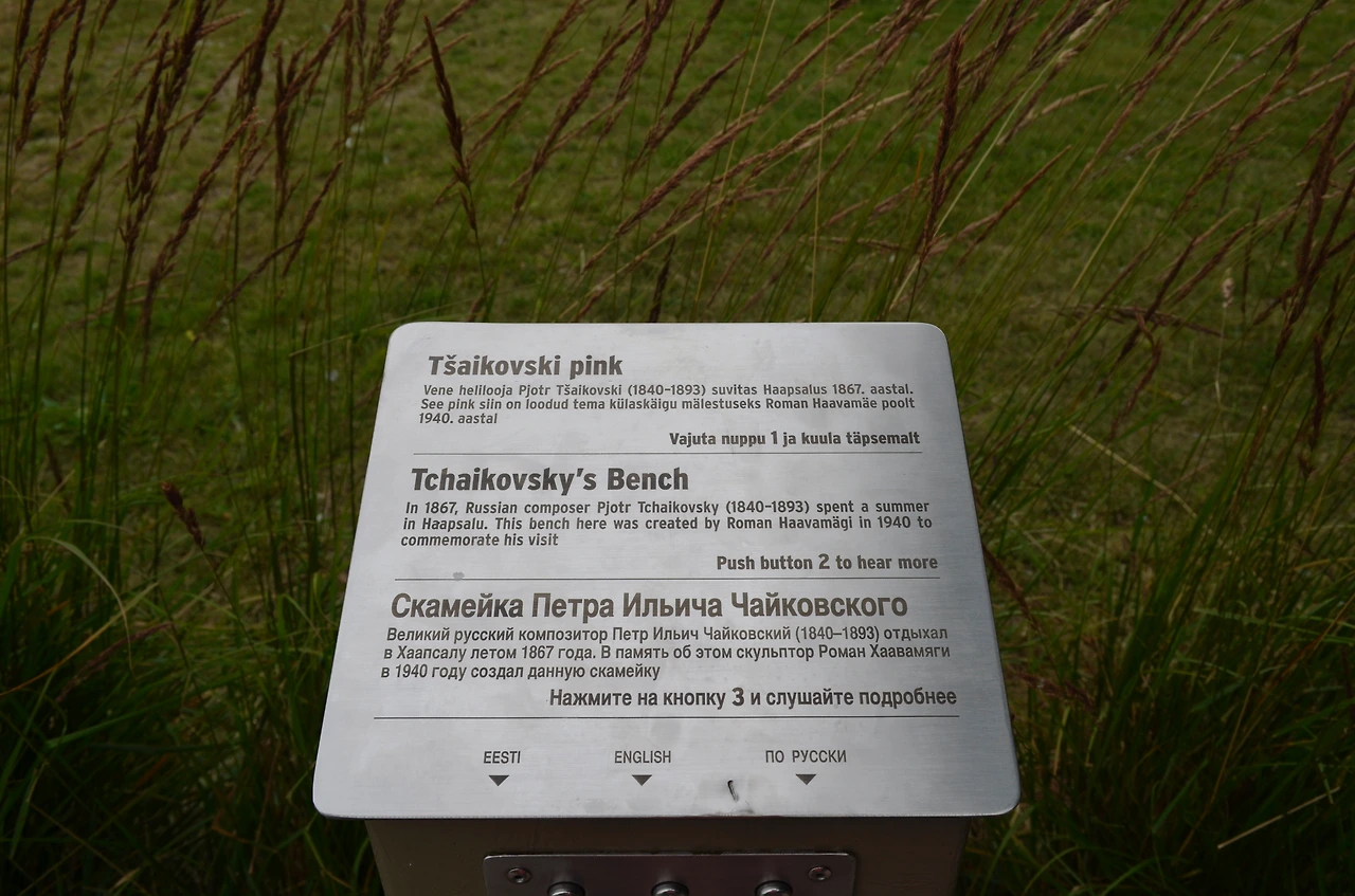 탈린 합살루2 세영 245.JPG