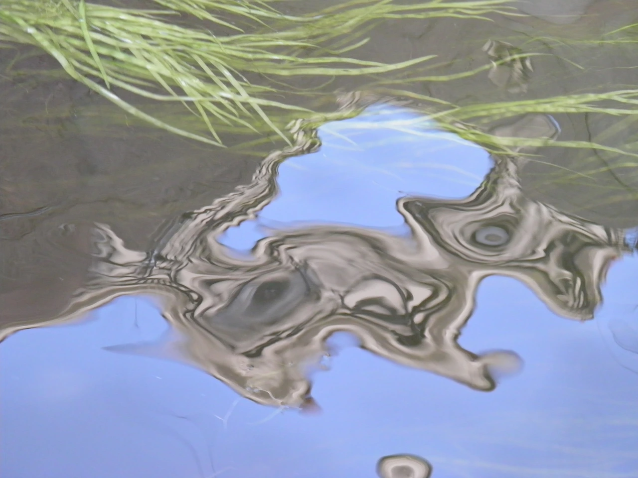 상트5 김선 006.JPG