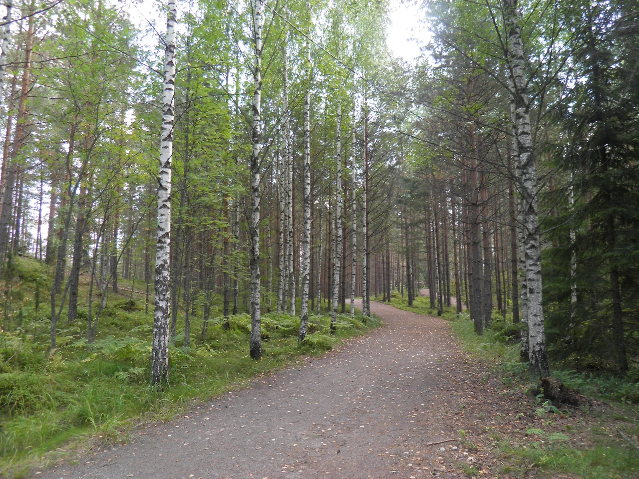 헬싱키 선경4 138.JPG