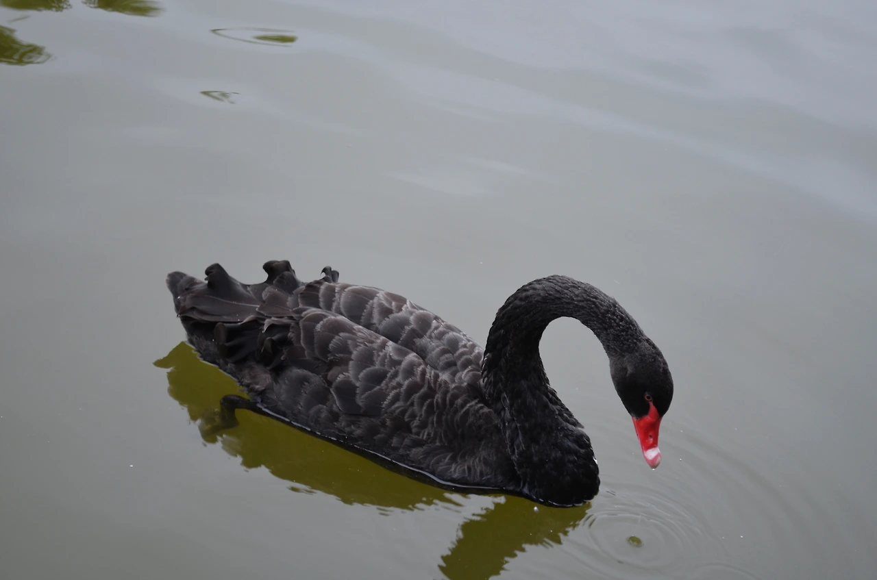 탈린 합살루2 세영 393.JPG