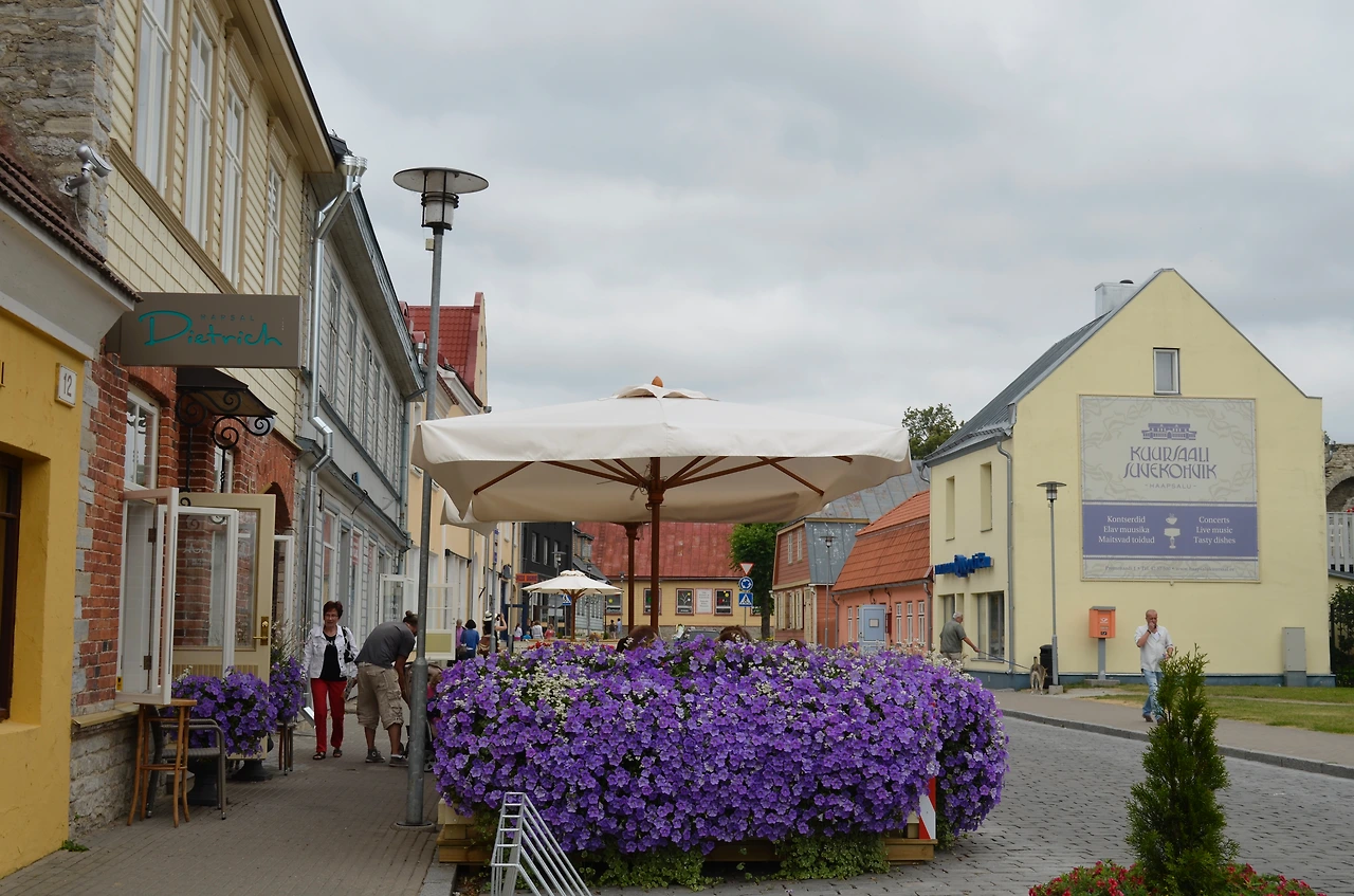 탈린 합살루2 세영 207.JPG