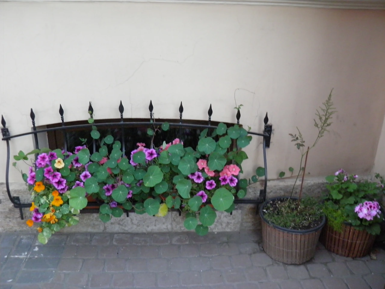 상트5 김선 094.JPG