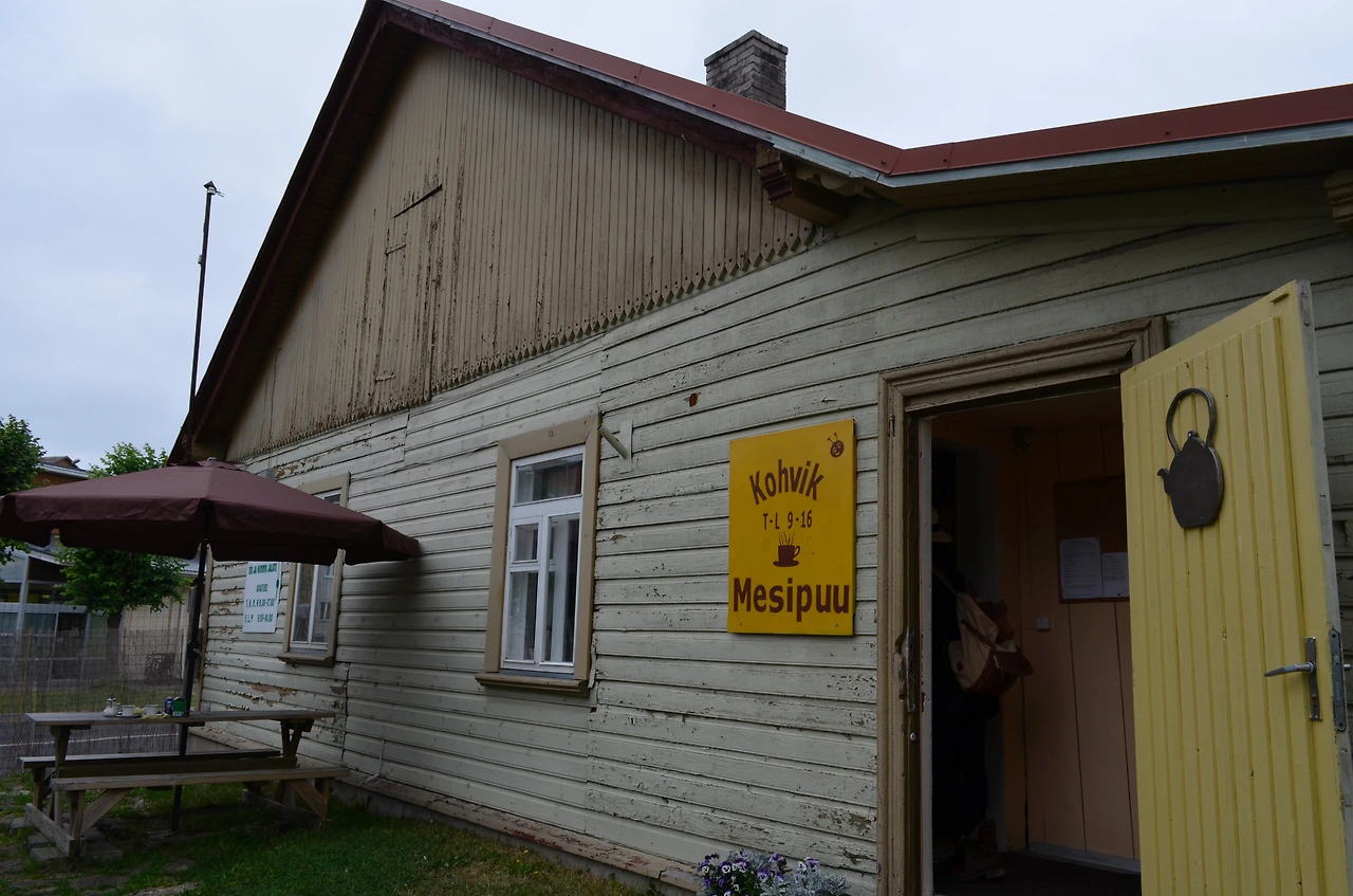 탈린 합살루2 세영 268.JPG