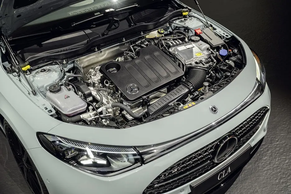 25C0063_024.jpg?type=w1