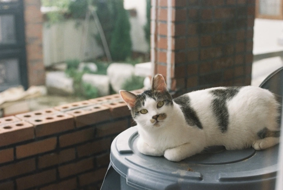 AD_4nXcVI1f-mVOkUsshMl1VyXb0Os9CSxf2m1KoyZ1JejAczjz6wsqJkHn5v1P-L_1IPlVC2F4l6WjfT5kDtccA42F1IjdRcBgvOGYhRDWFrCDj2yy2d568Fen88KwD5KjbISiyFeDRMg?key=v45MkIqsfanQp_GPNPgZDpn_