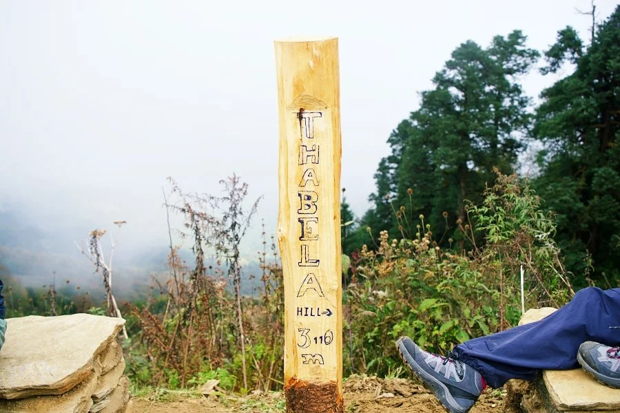 %EB%B3%B4%EC%A0%95__DSC1588.jpg?type=w1200