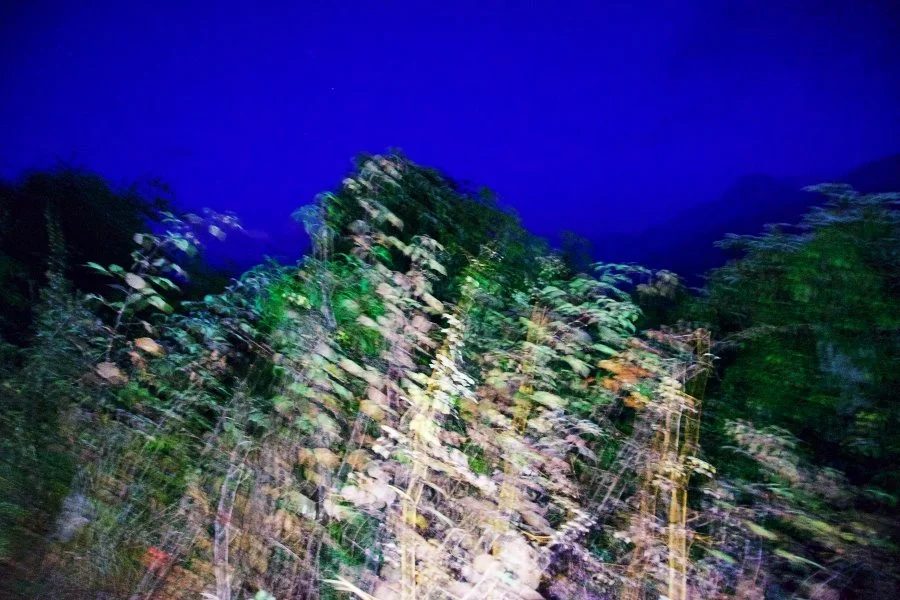 %EB%B3%B4%EC%A0%95__DSC1444.jpg?type=w1200