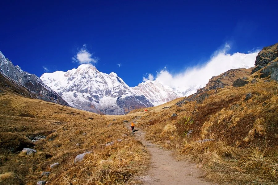 %EB%B3%B4%EC%A0%95__DSC2126.jpg?type=w1200