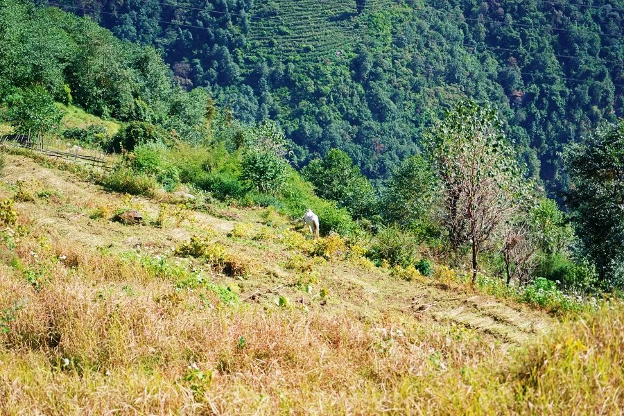 %EB%B3%B4%EC%A0%95__DSC1345.jpg?type=w1200