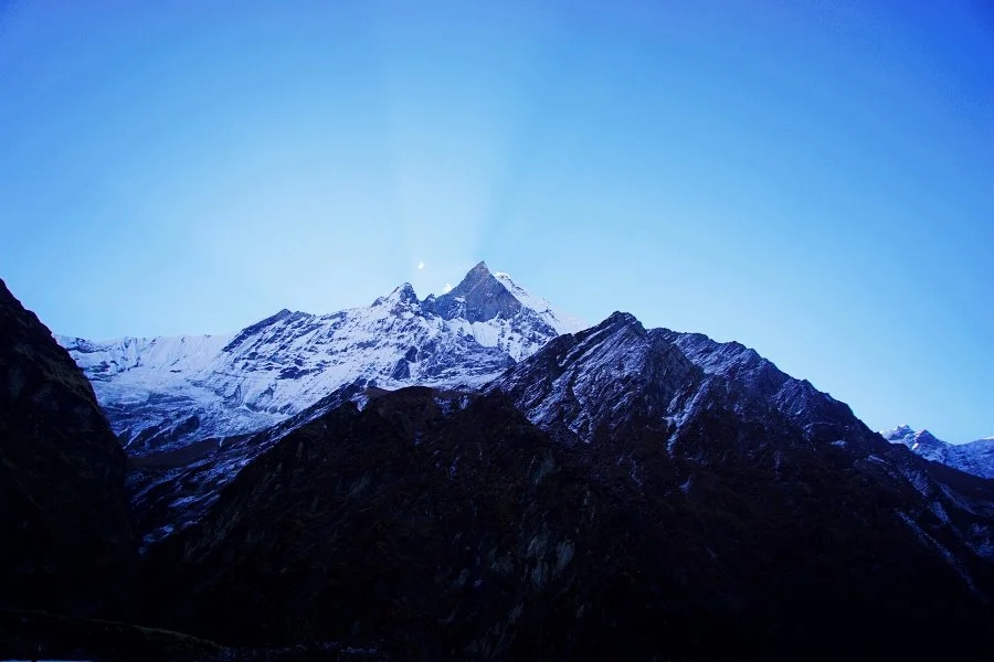 %EB%B3%B4%EC%A0%95__DSC2092.jpg?type=w1200