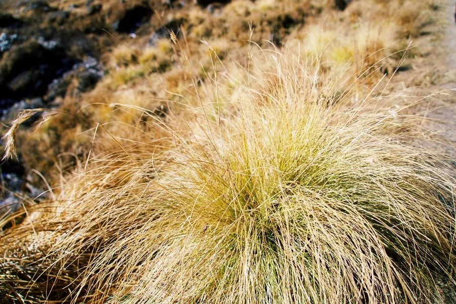 %EB%B3%B4%EC%A0%95__DSC2122.jpg?type=w1200