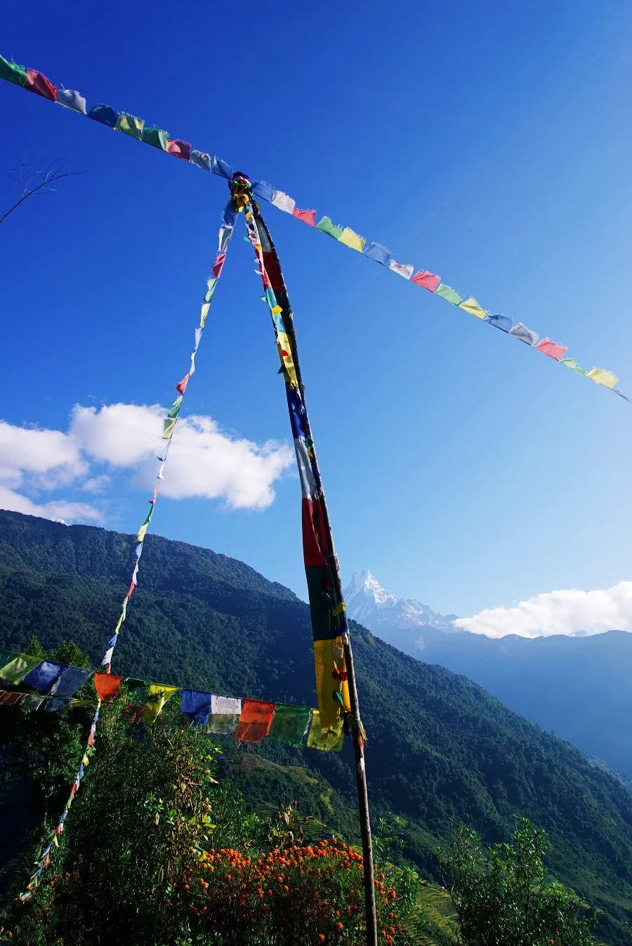 %EB%B3%B4%EC%A0%95__DSC1646.jpg?type=w1200