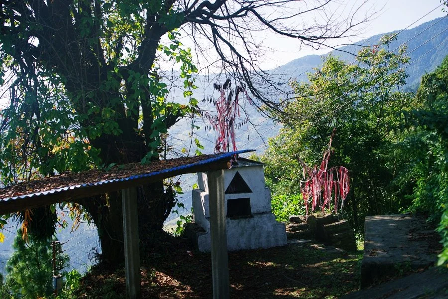 %EB%B3%B4%EC%A0%95__DSC1323.jpg?type=w1200