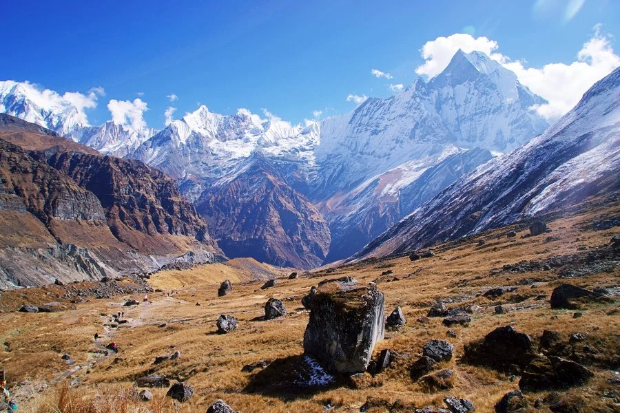 %EB%B3%B4%EC%A0%95__DSC2181.jpg?type=w1200