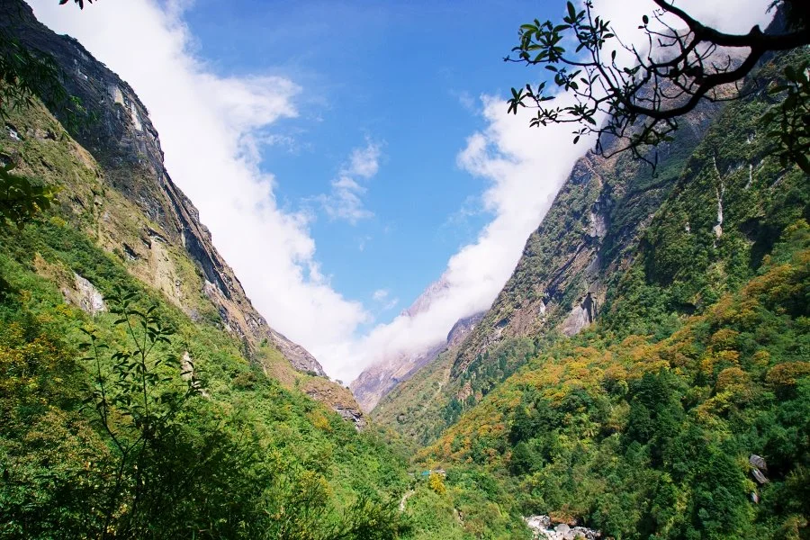 %EB%B3%B4%EC%A0%95__DSC1804.jpg?type=w1200