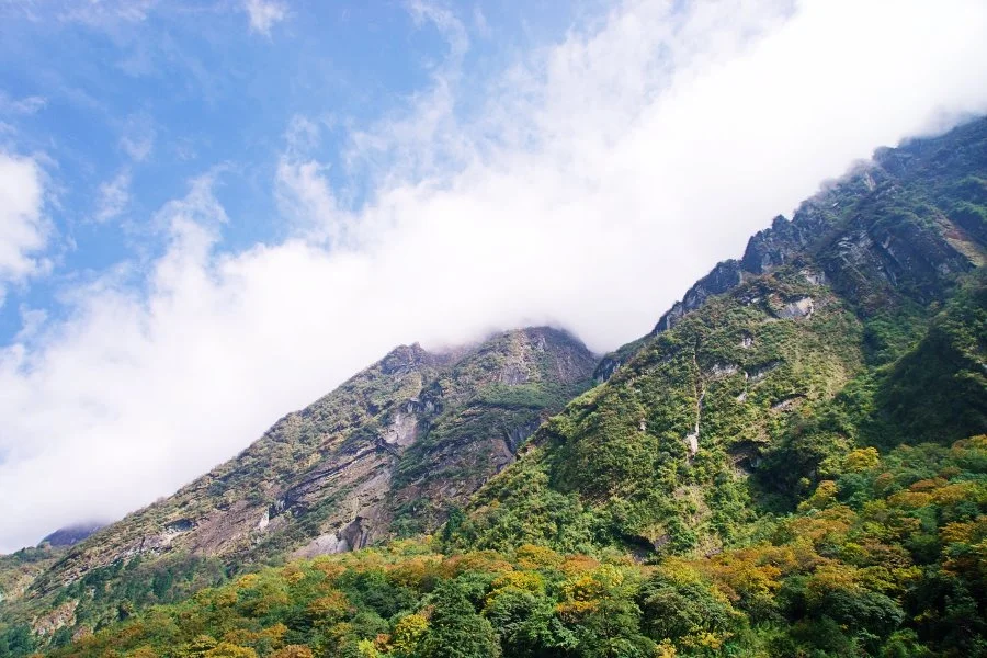 %EB%B3%B4%EC%A0%95__DSC1824.jpg?type=w1200