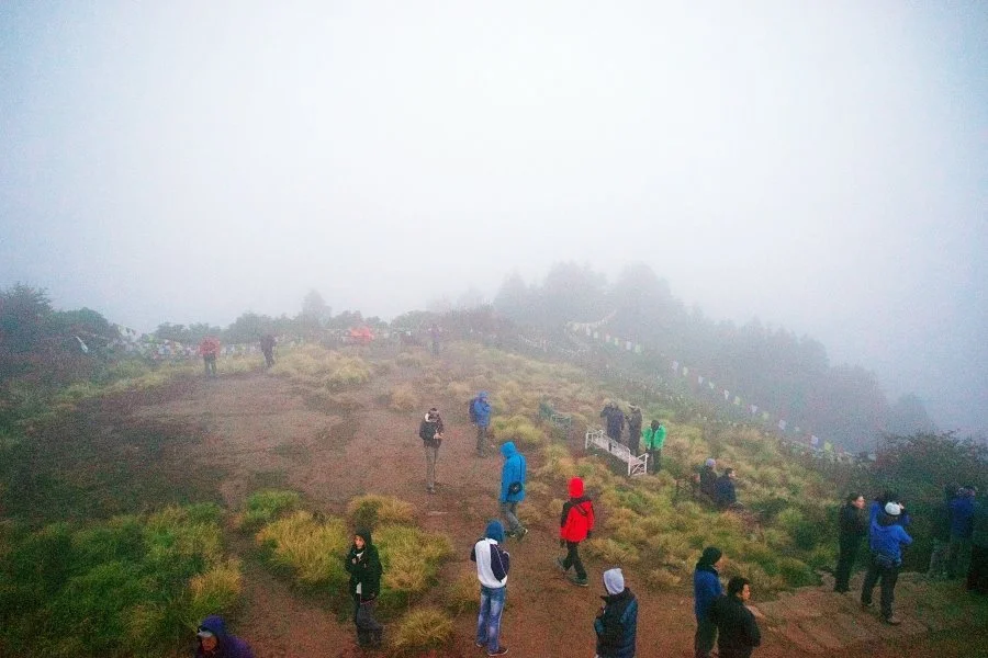 %EB%B3%B4%EC%A0%95__DSC1453.jpg?type=w1200