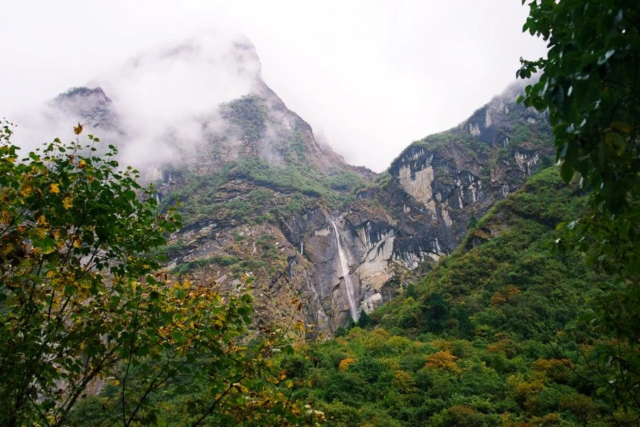 %EB%B3%B4%EC%A0%95__DSC1838.jpg?type=w1200