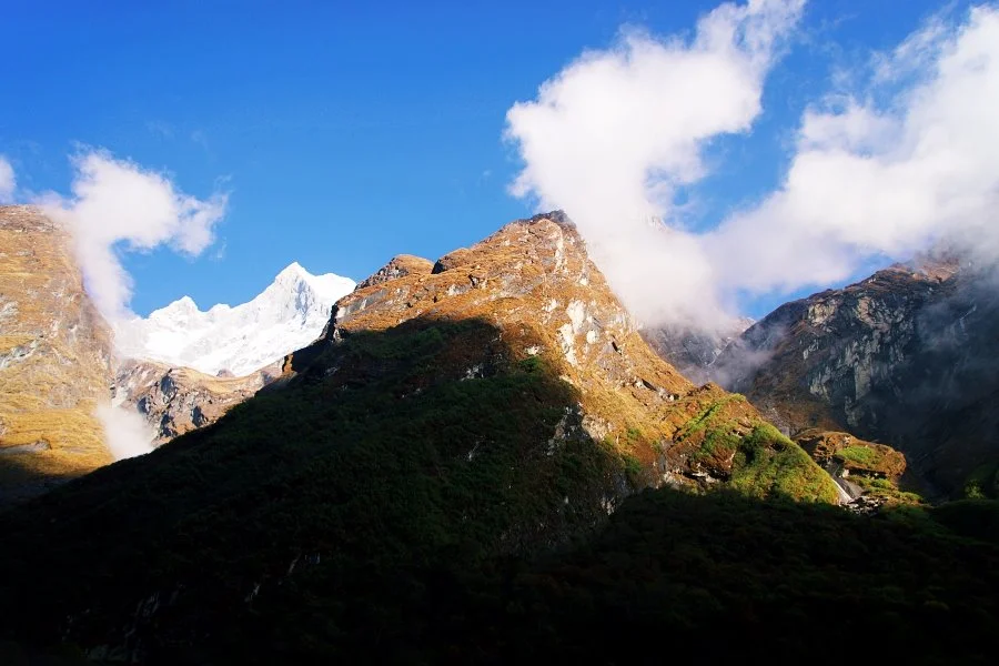 %EB%B3%B4%EC%A0%95__DSC1996.jpg?type=w1200