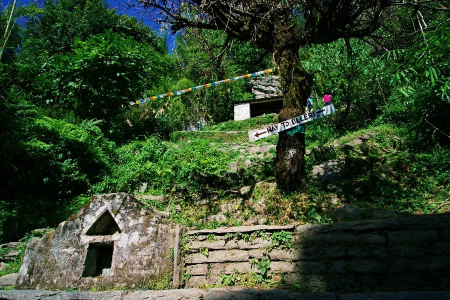 %EB%B3%B4%EC%A0%95__DSC1317.jpg?type=w1200