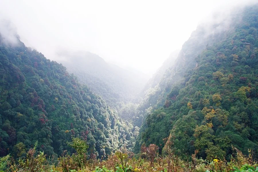 %EB%B3%B4%EC%A0%95__DSC1629.jpg?type=w1200