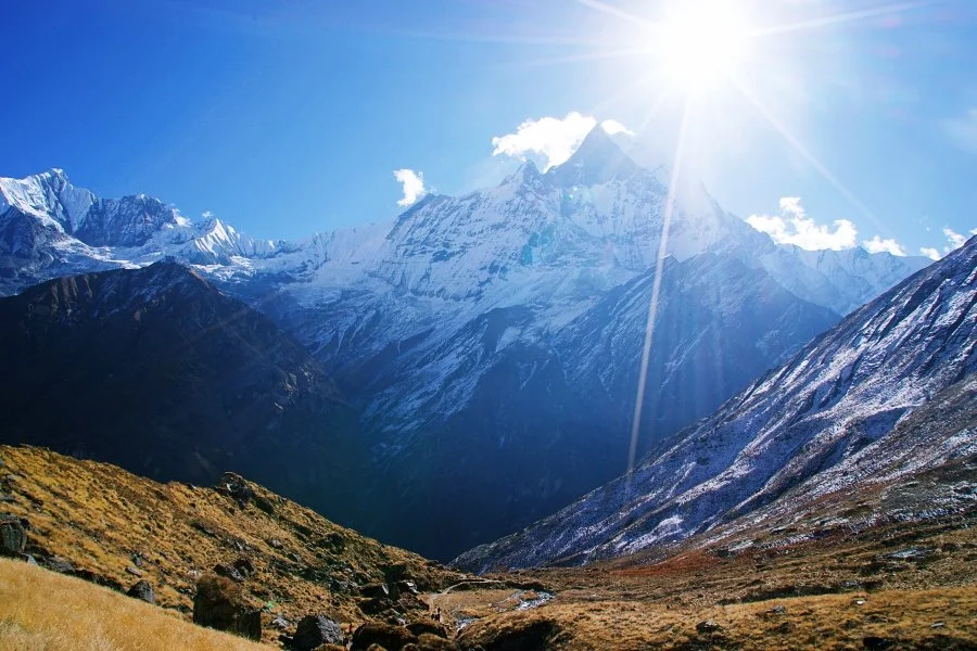 %EB%B3%B4%EC%A0%95__DSC2140.jpg?type=w1200