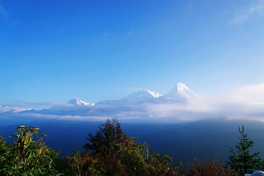 %EB%B3%B4%EC%A0%95__DSC1549.jpg?type=w1200