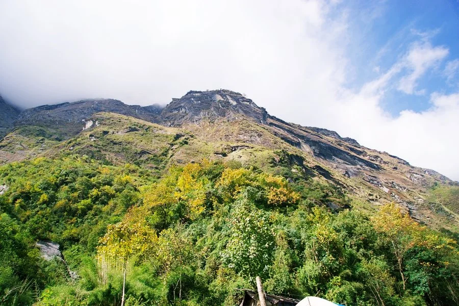 %EB%B3%B4%EC%A0%95__DSC1818.jpg?type=w1200