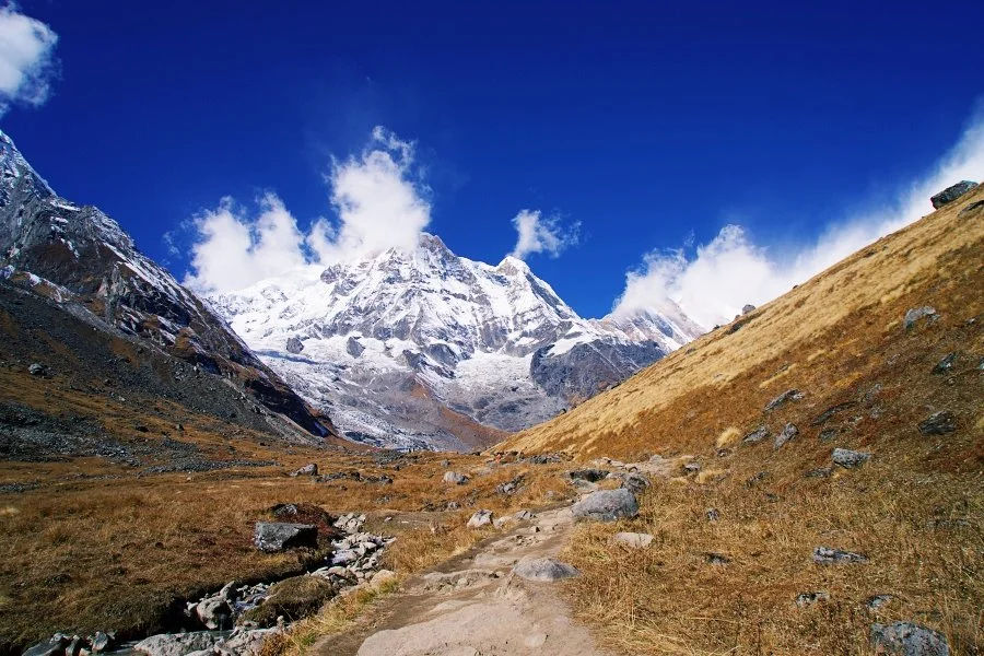 %EB%B3%B4%EC%A0%95__DSC2170.jpg?type=w1200