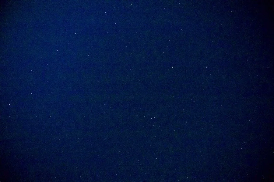 IMG_3786.jpg?type=w1200