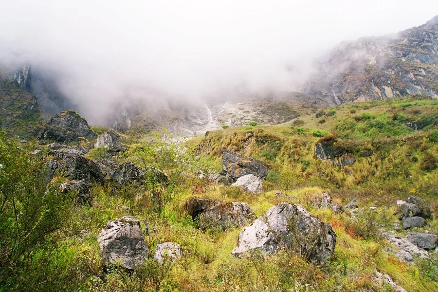 %EB%B3%B4%EC%A0%95__DSC1964.jpg?type=w1200