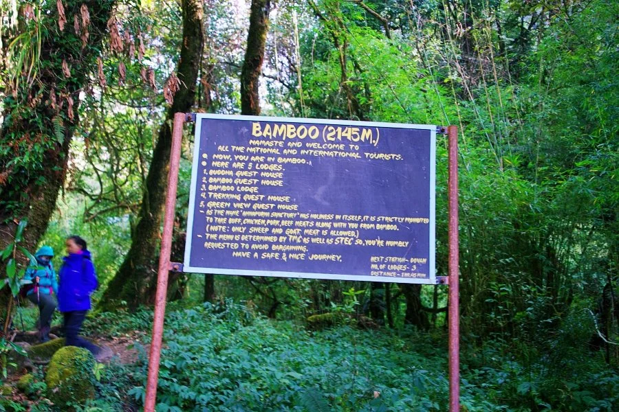 %EB%B3%B4%EC%A0%95__DSC1766.jpg?type=w1200