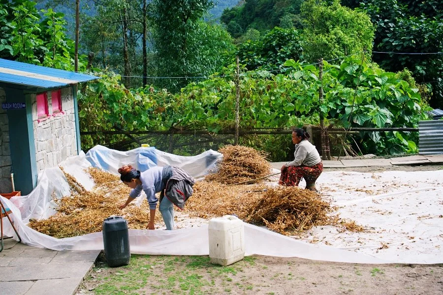 %EB%B3%B4%EC%A0%95__DSC1716.jpg?type=w1200