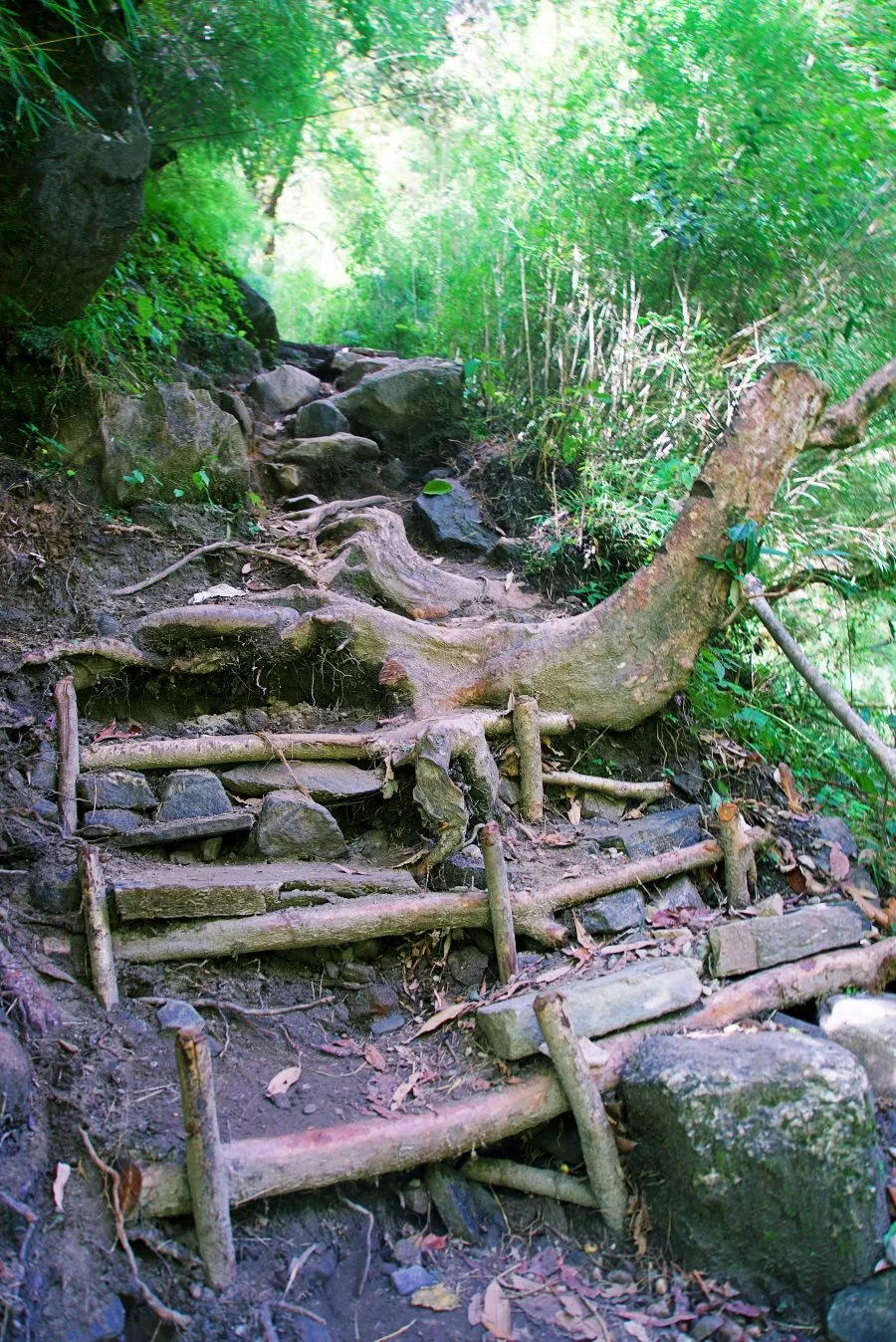 %EB%B3%B4%EC%A0%95__DSC1795.jpg?type=w1200