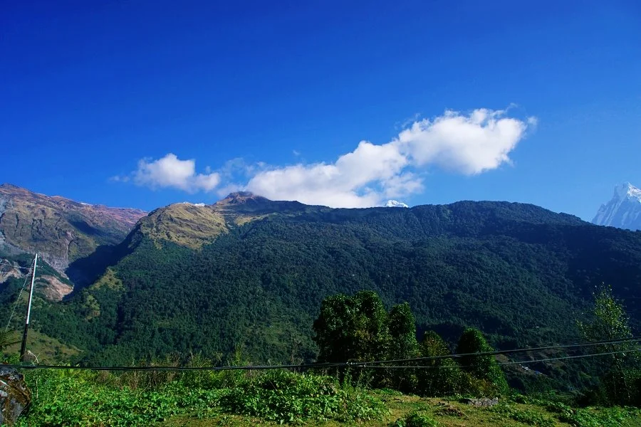 %EB%B3%B4%EC%A0%95__DSC1637.jpg?type=w1200