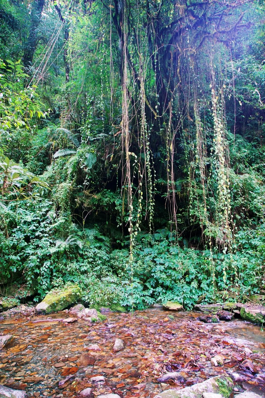 %EB%B3%B4%EC%A0%95__DSC1405.jpg?type=w1200