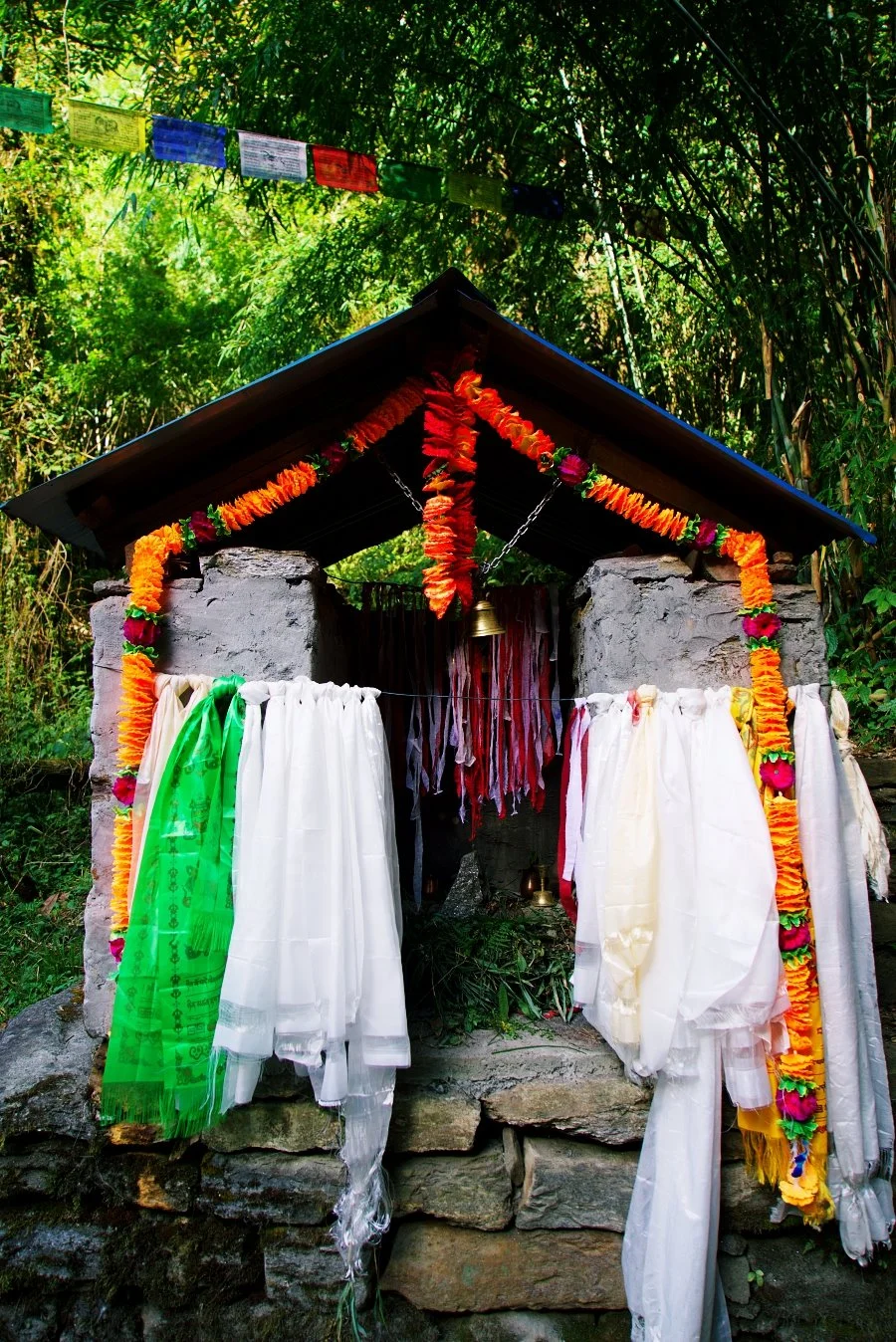 %EB%B3%B4%EC%A0%95__DSC1765.jpg?type=w1200