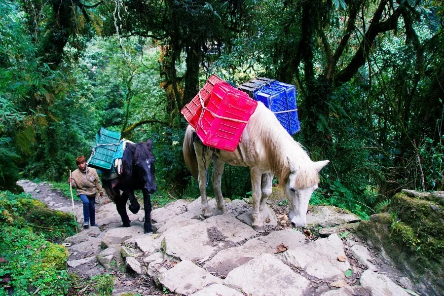 %EB%B3%B4%EC%A0%95__DSC1403.jpg?type=w1200