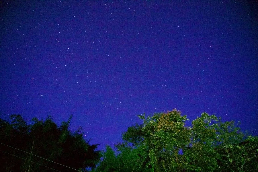 IMG_3784.jpg?type=w1200