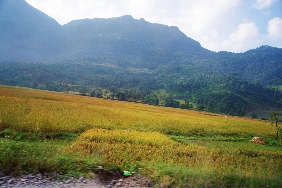 %EB%B3%B4%EC%A0%95__DSC1216.jpg?type=w1200