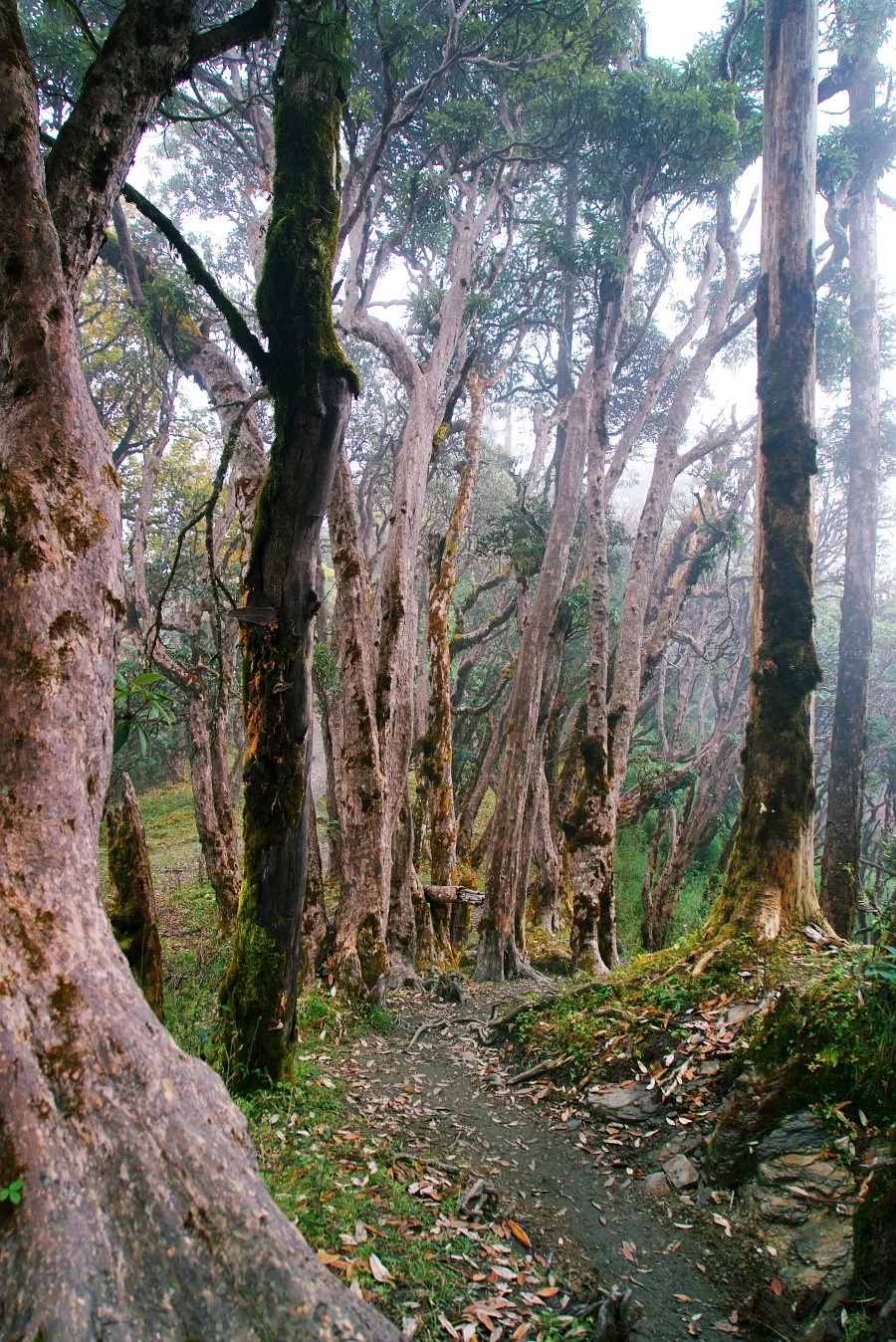 %EB%B3%B4%EC%A0%95__DSC1599.jpg?type=w1200