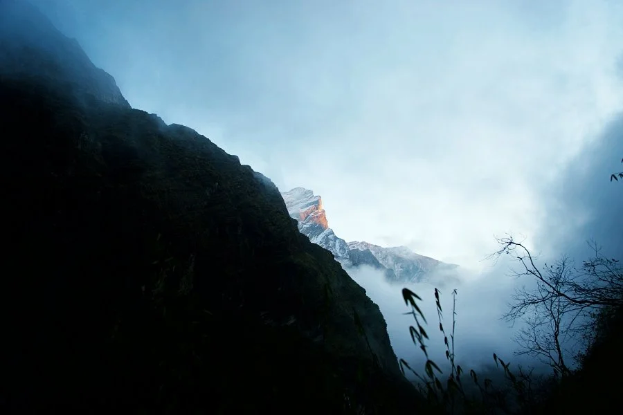 %EB%B3%B4%EC%A0%95__DSC2030.jpg?type=w1200